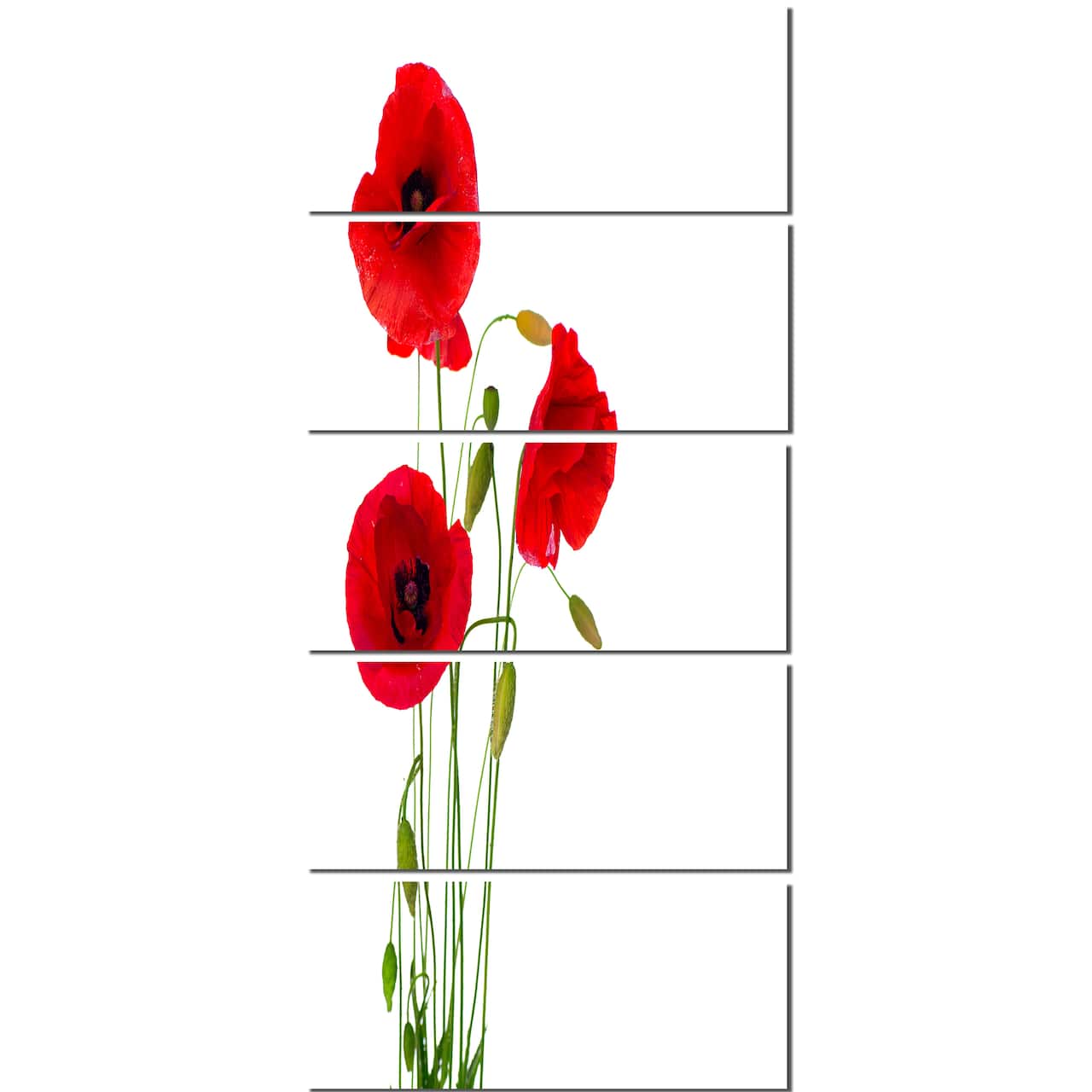 Designart - Isolated Red Poppy Flowers - Floral Canvas Art Print